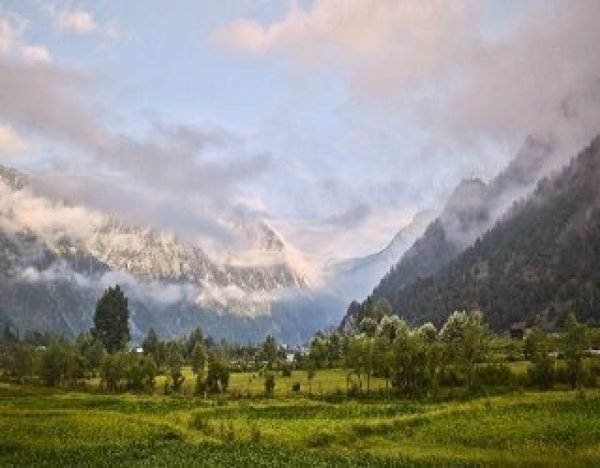 Cheap Kashmir 3 Nights Tour