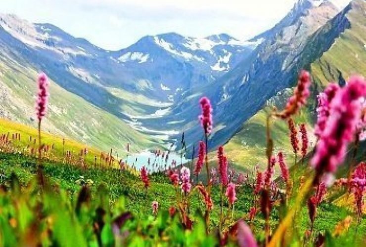 Best Time To Visit Jammu & Kashmir