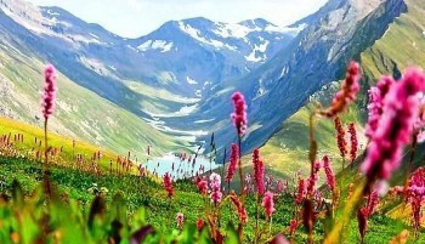 Best Time To Visit Jammu & Kashmir