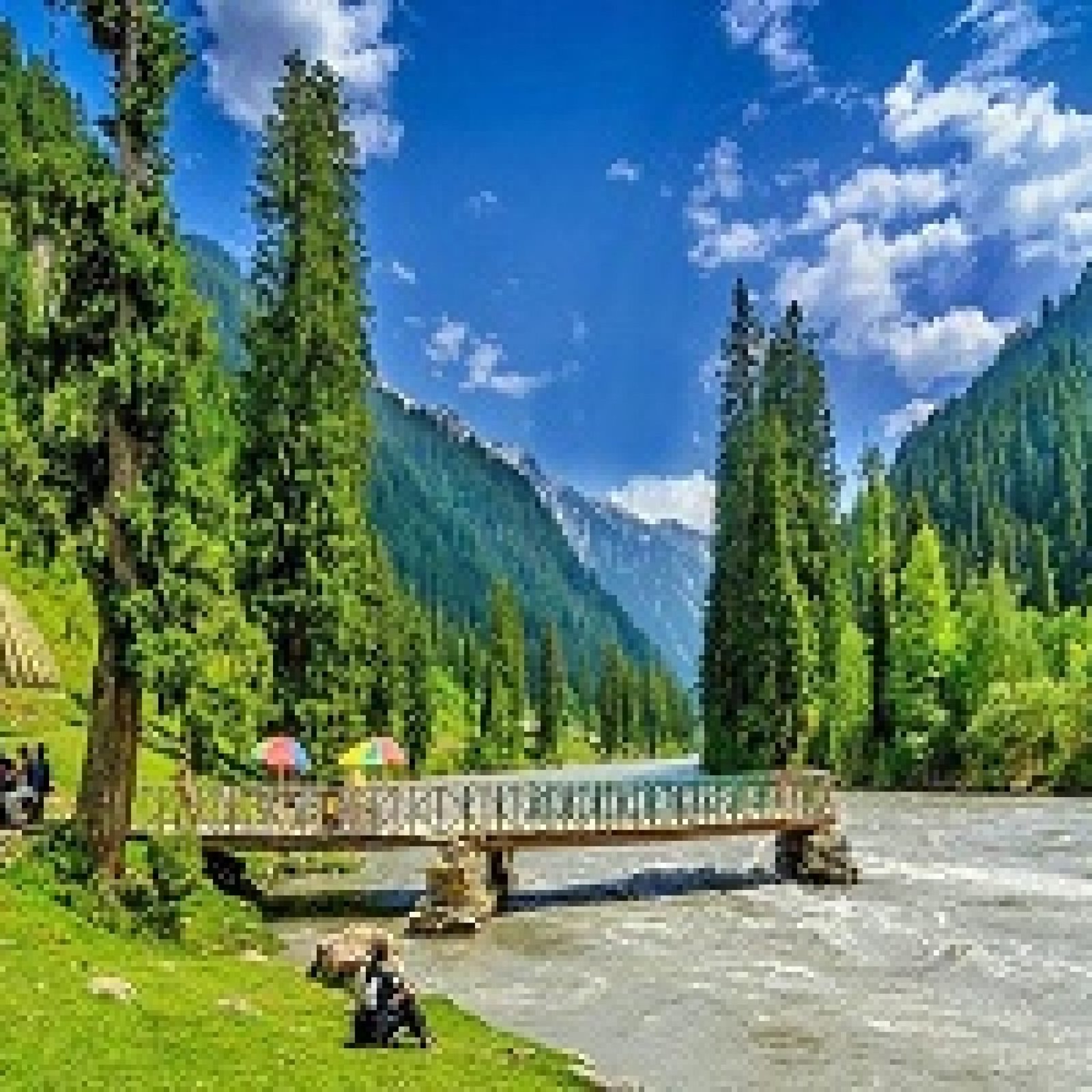 Jammu Kashmir Family Tour 5 Nights Book Now
