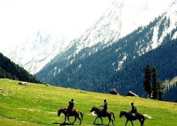 Group tour for 4 nights
