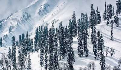gulmarg tour packages gulmarg tour packages