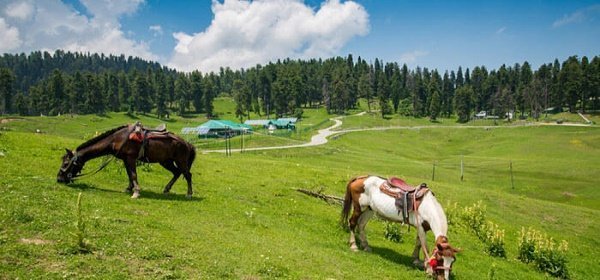 Sonmarg