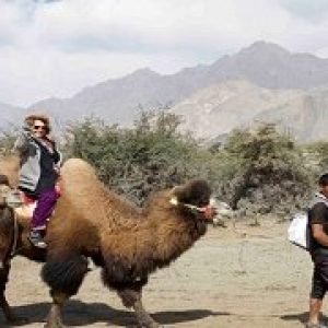 Ladakh Special 5 Nights