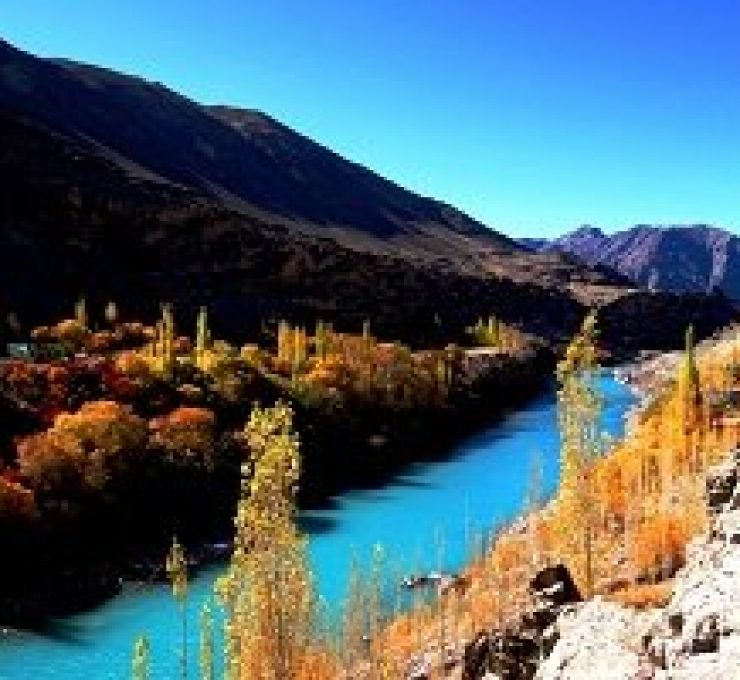 Best Travel Agents in Kashmir