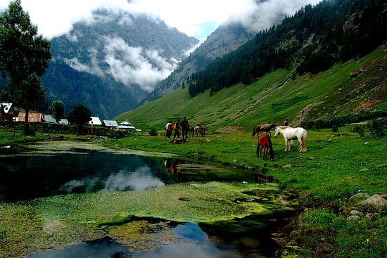 Sonmarg Day Trip