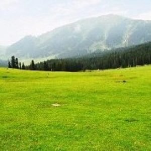 Kashmir Trip from Tamil Nadu