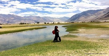 Best Travel Agents In Leh Ladakh