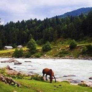 Kashmir Chennai Family Tour 4 Nights