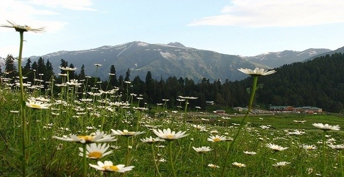 Kashmir Tour from Dubai