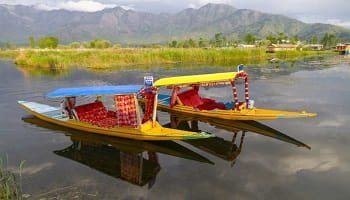 3 Night Srinagar Tour From Kolkata