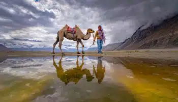 Cheap Ladakh Package 5 nights