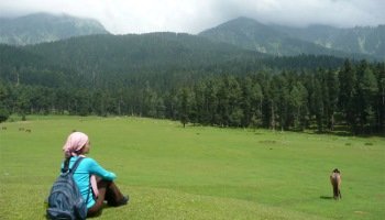 Exotic Pahalgam Tour with Gulmarg 5 Day