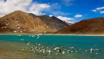 Kashmir Ladakh Packages 8 nights