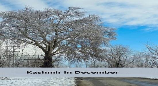 Snow-covered meadow Kashmir in December
