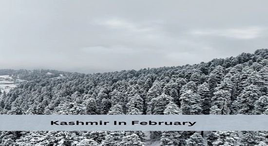 Snowboarding in Gulmarg during Kashmir In  February