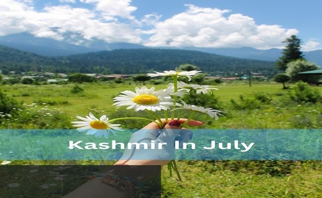  Kashmir in Jully Green valleys of Sonmarg 