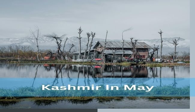 kashmir during May with blooming flowers