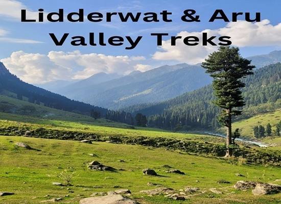 Lidderwat and Aru Valley trails summer trek