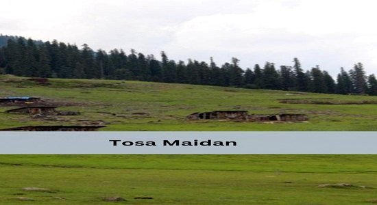 Tosa Maidan meadow with Pir Panjal mountains in the background