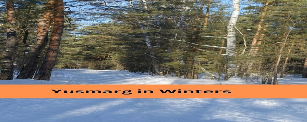 Winter in Yusmarg (December – February)