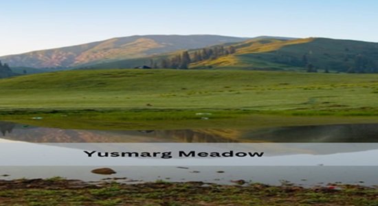 Wide green Yusmarg meadow surrounded by pine trees