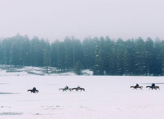 Things to do in Gulmarg - Skiing, snowboarding, Gondola ride