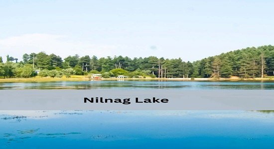 Nilnag Lake with blue waters and pine forests