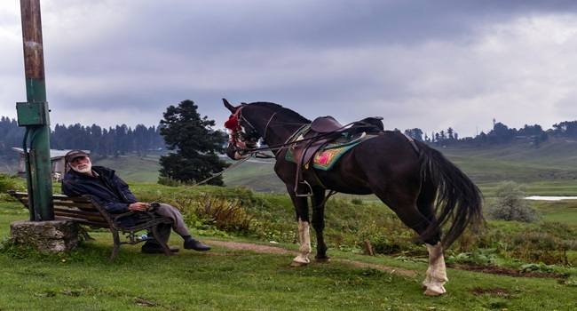 Pony ride in Pahalgam, Kashmir through scenic meadows and valleys