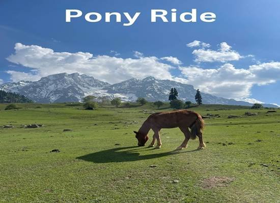 Pony ride across Pahalgam meadows in summer