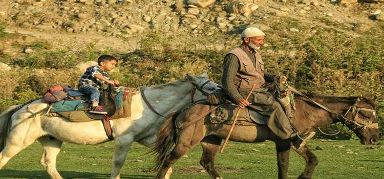 Pony ride in Yusmarg, Kashmir surrounded by forests and grasslands