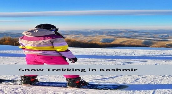 Tourists trekking in snowy Pahalgam Kashmir
