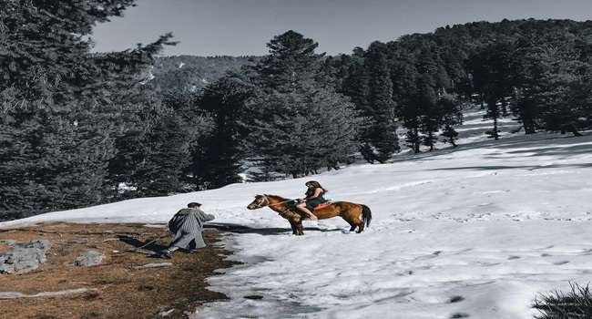 Pony ride in Sonmarg,