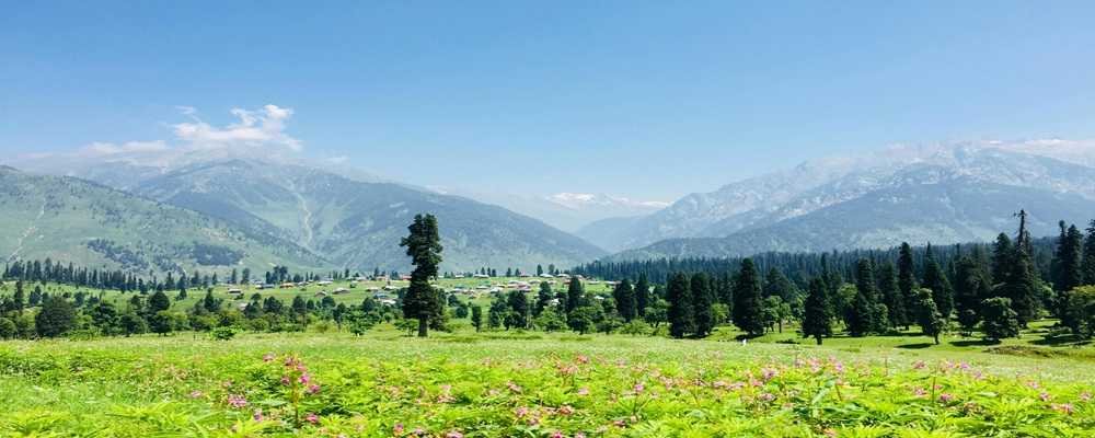 Kashmir summer landscape with lush green meadows, clear skies, and scenic valleys – best time to visit Kashmir