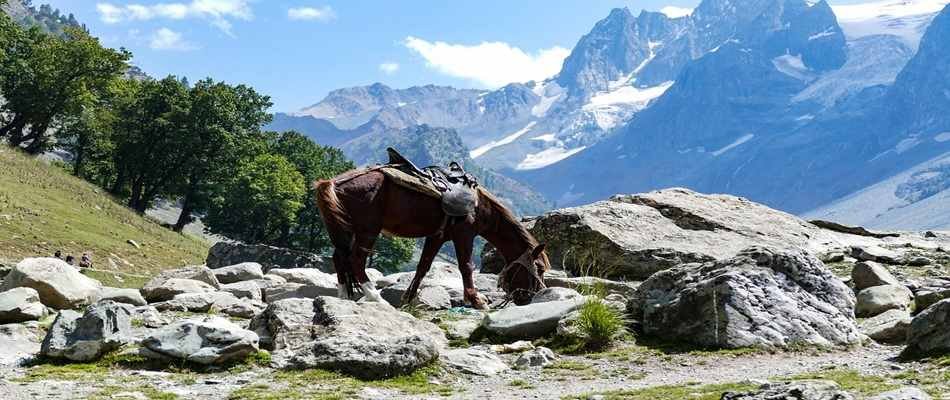 Stunning landscape of Sonmarg Kashmir surrounded by snowy peaks and Thajiwas Glacier